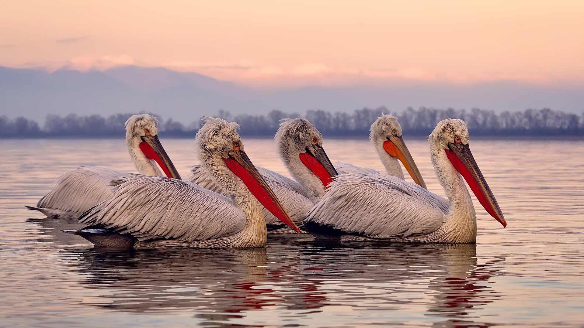 ESPN头条：墨西哥改变冬奥足球格局，墨西哥国奥足球队