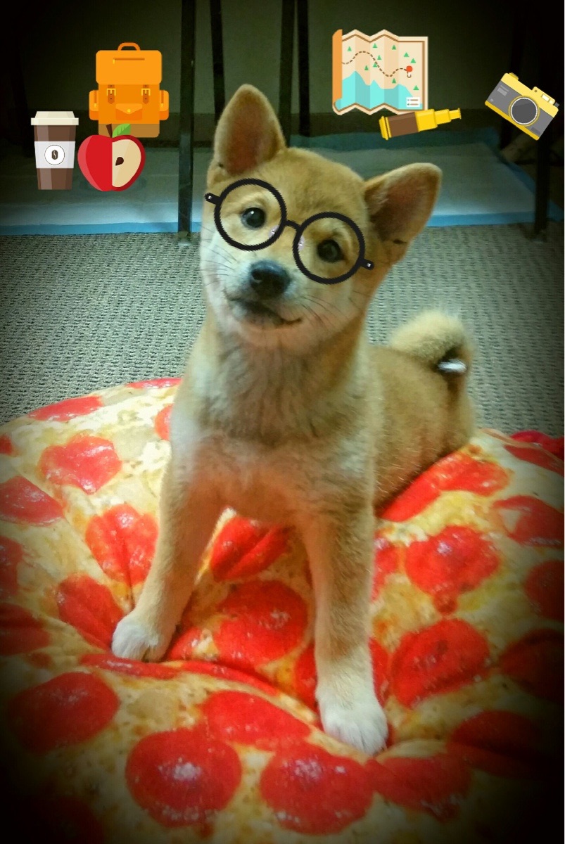 _运动员家庭故事：背后支持他们的亲情力量_，运动员家庭条件都很好吗