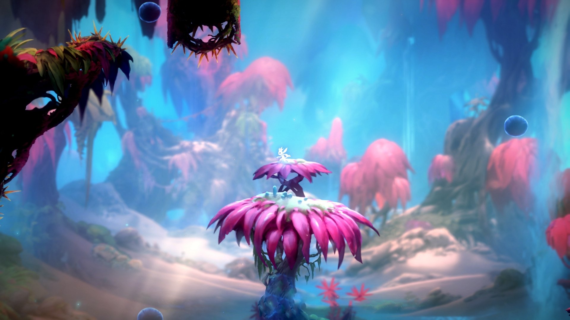 乌拉圭男足在巴黎奥运会上表现出色，赢得铜牌，乌拉圭男足主帅