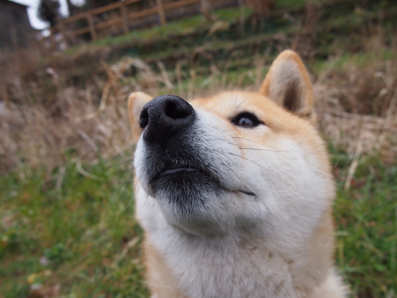 从沙漠到雪原：多重气候下的极限竞速，沙漠越野难度