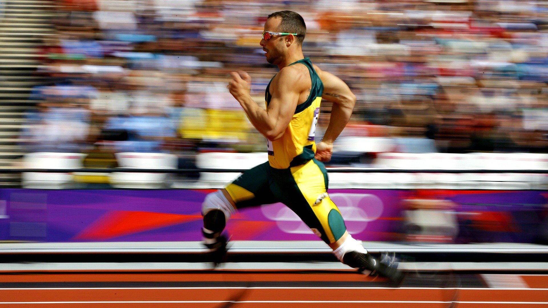 斯滕伯根决赛表现引发热议，斯滕伯格的书